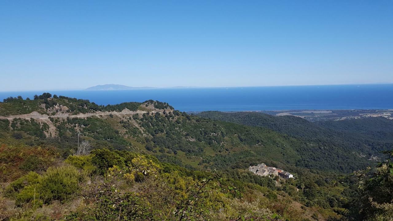 English Club In Corsica B&B Porri Exteriér fotografie
